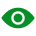 Vision Icon