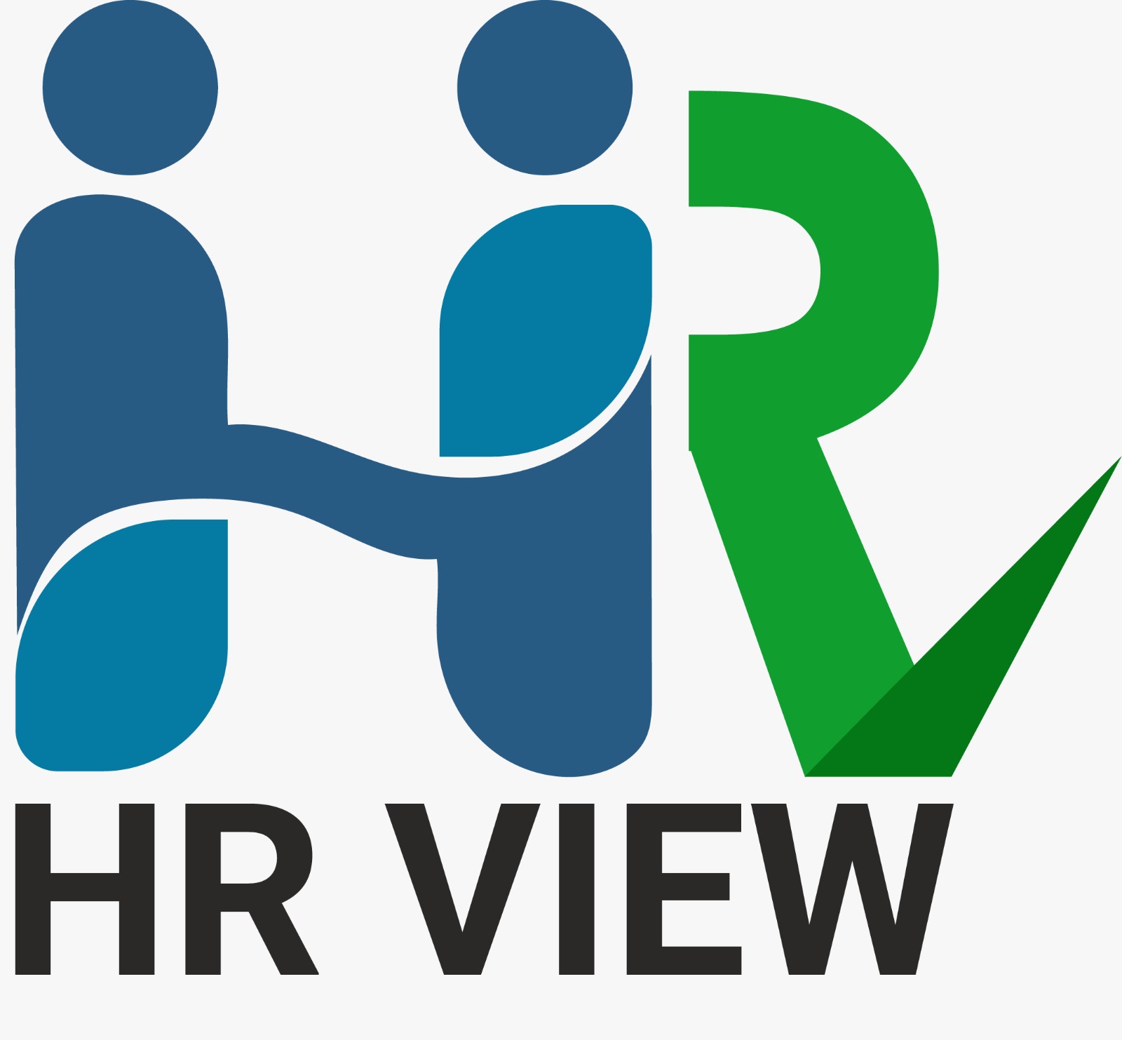 HR VIEW Logo